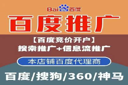 百度推广实战：成功企业的营销策略